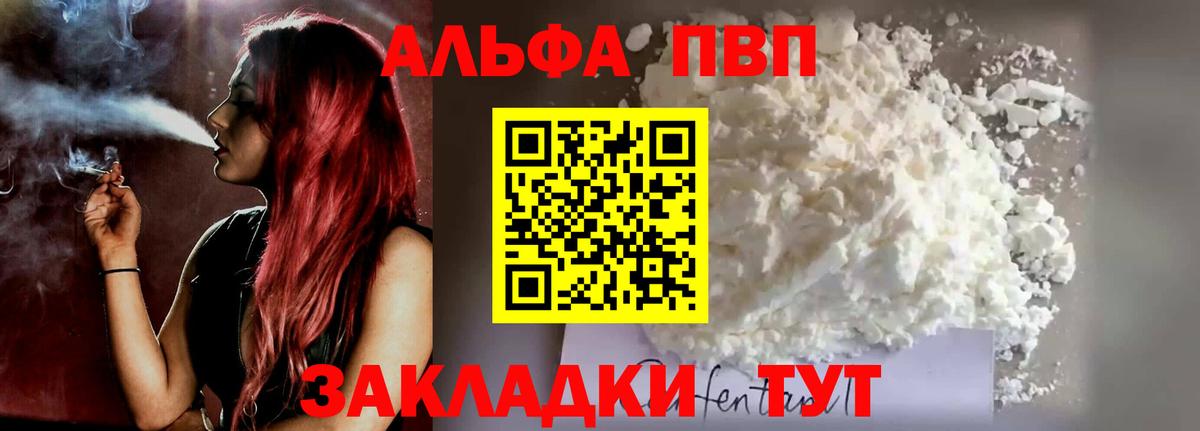 Гудермес  Альфа ПВП СК КРИС  Альфа ПВП  Вход с VPN 