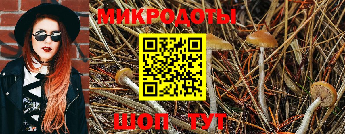 Псилоцибиновые грибы прущие грибы  Галлюциногенные грибы мицелий  Вход с VPN  Гудермес 
