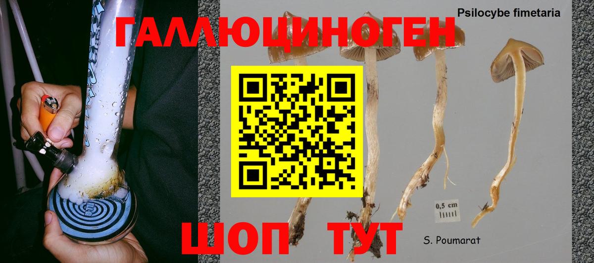 Как найти наркотики?  Меф МЯУ МЯУ   МДМА  Гудермес  ГАШ  Вход с VPN  Конопля  Кокаин 